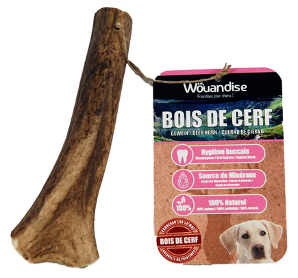 Meilleurs prix pour Friandise Chien – Wouapy Bois de cerf – Taille M