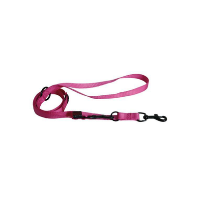 Comparer les prix de Laisse chien dressage 3pt 20mm / 200cm rose