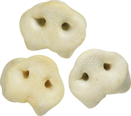 FLAMINGO-Friandise Chien - Flamingo Nez de porc soufflé au miel - En vrac à l'unité