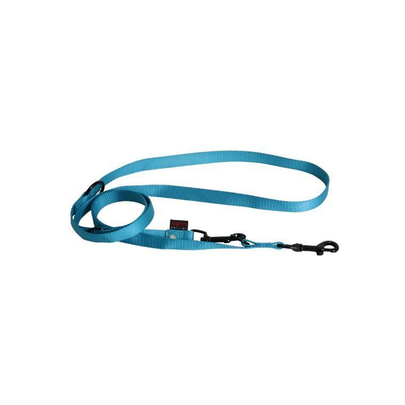 Laisse Chien - Martin Sellier Laisse d'entraînement 3 points Turquoise - 200 x 2 cm