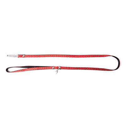 Collier Chien – Martin Sellier Laisse Pois rouge – XS
