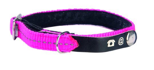 Meilleurs prix pour Collier chat - Bobby Collier Lost Taille XS Rose - 30 x 1 cm