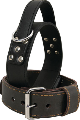 ZOLUX-Collier Chien – Zolux Collier à poignée Noir – 70 cm