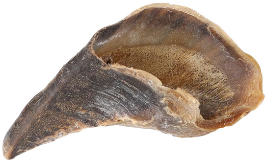 Meilleurs prix pour Friandise Chien - Flamingo Nature snack Sabot de vache -  En vrac à l'unité