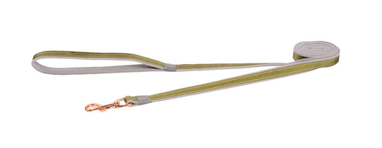 Comparer les prix de Laisse Chien - Rogz Twist Vert Gris et Rose - 2,0 x 180 cm