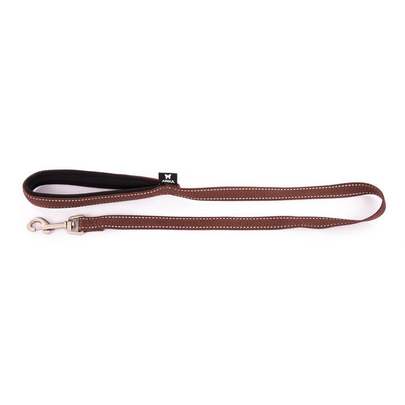 Laisse Chien - Martin Sellier Laisse Neo+ marron – 2,5 x 100 cm